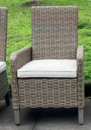 Laguna Heights - Beige - Arm Chair With Cushion (Set of 2) - Urban Living Furniture (Los Angeles, CA)
