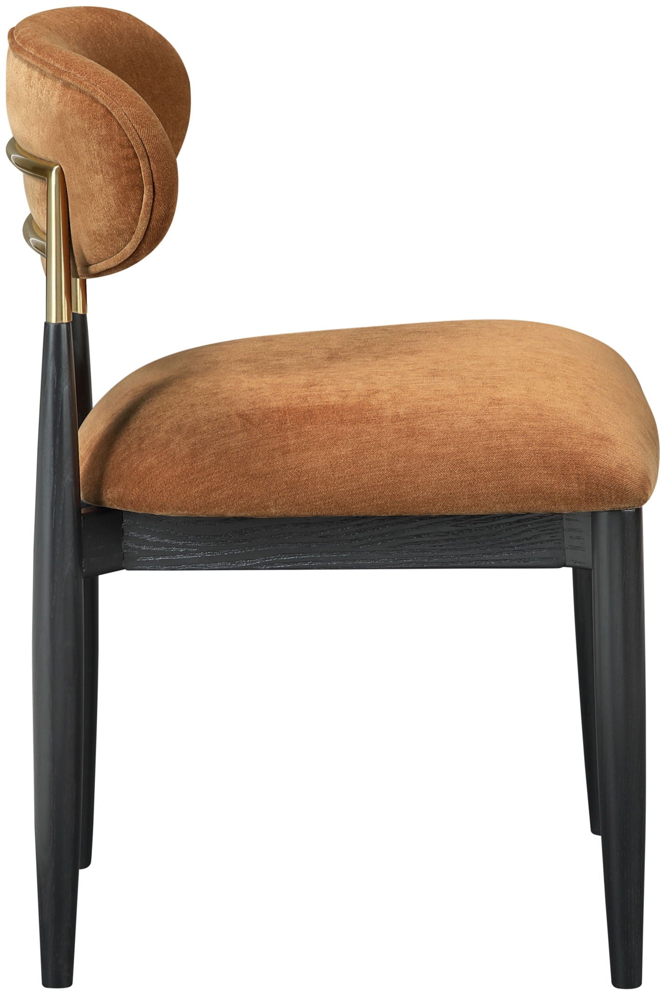 Riccio - Fabric Dining Side Chair (Set of 2) - Black And Gold Frame - Urban Living Furniture (Los Angeles, CA)