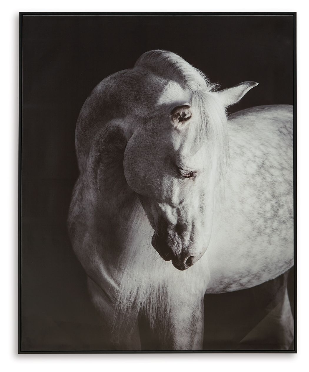 Archerwick - Black / White - Wall Art - Urban Living Furniture (Los Angeles, CA)