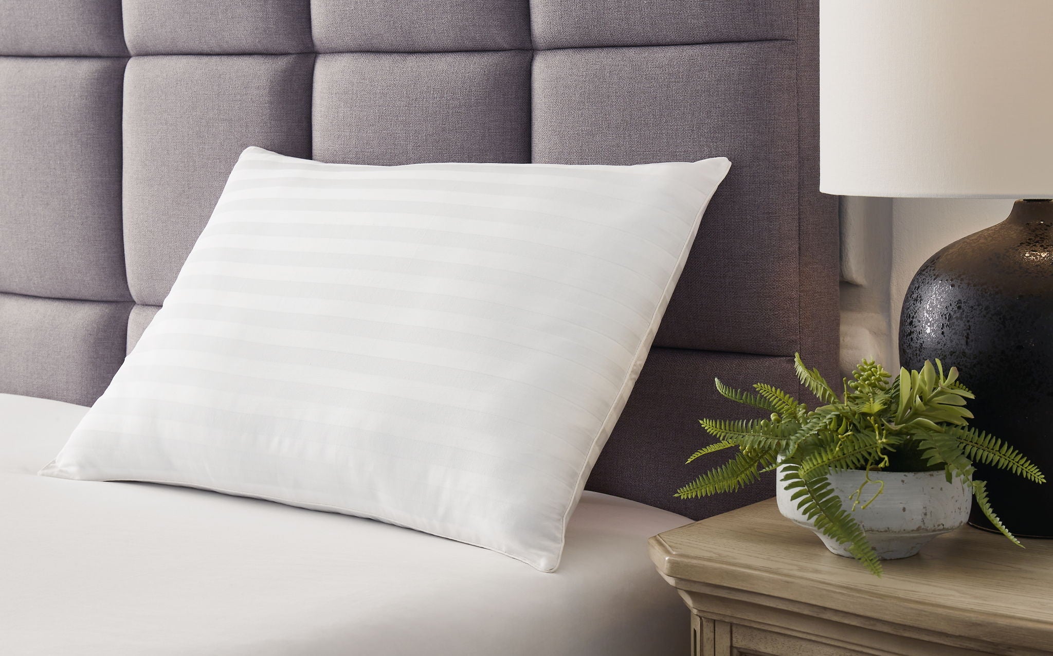 Zephyr 2.0 - Cotton Pillow - Urban Living Furniture (Los Angeles, CA)