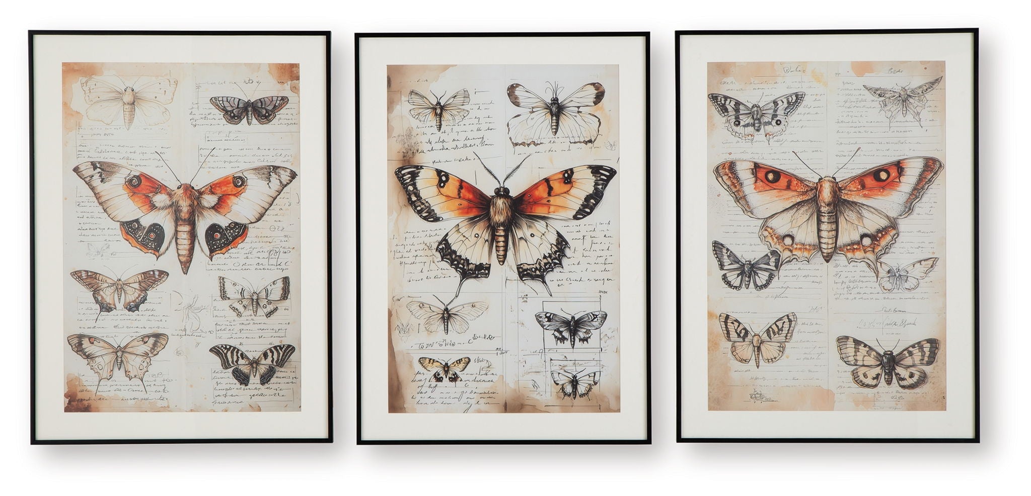 Jossletts - Orange / Black / Ivory - Wall Art Set (Set of 3) - Urban Living Furniture (Los Angeles, CA)