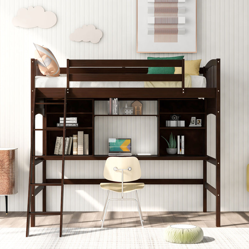Loft Bed With Storage Shelves, Desk And Ladder