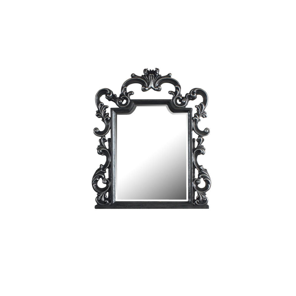 House - Delphine - Mirror - Charcoal Finish - Urban Living Furniture (Los Angeles, CA)