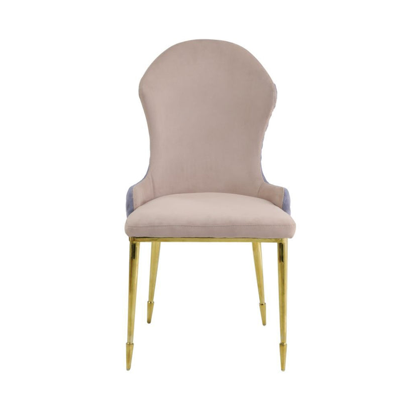 Caolan - Side Chair (Set of 2) - Tan, Lavender Fabric & Gold - Urban Living Furniture (Los Angeles, CA)