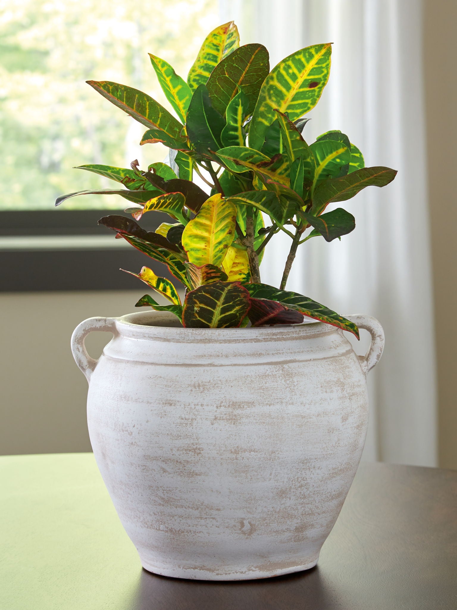 Meadie - 9" Vase - Urban Living Furniture (Los Angeles, CA)