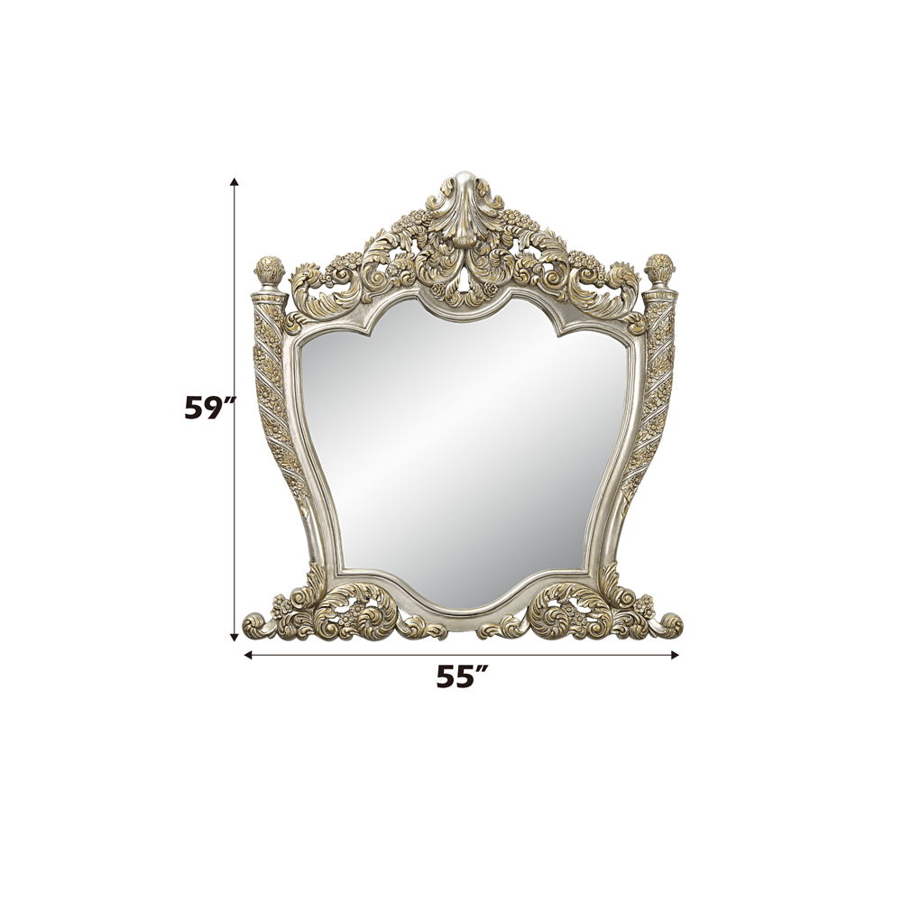 Danae - Mirror - Champagne & Gold - Urban Living Furniture (Los Angeles, CA)