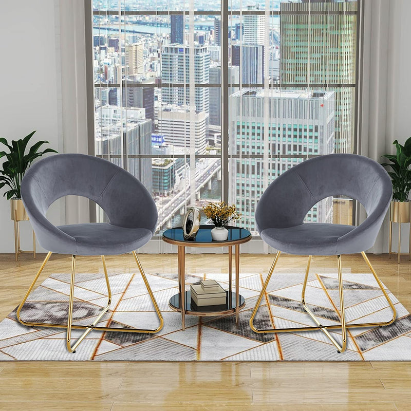 Modern Accent Velvet Chair (Set of 2)