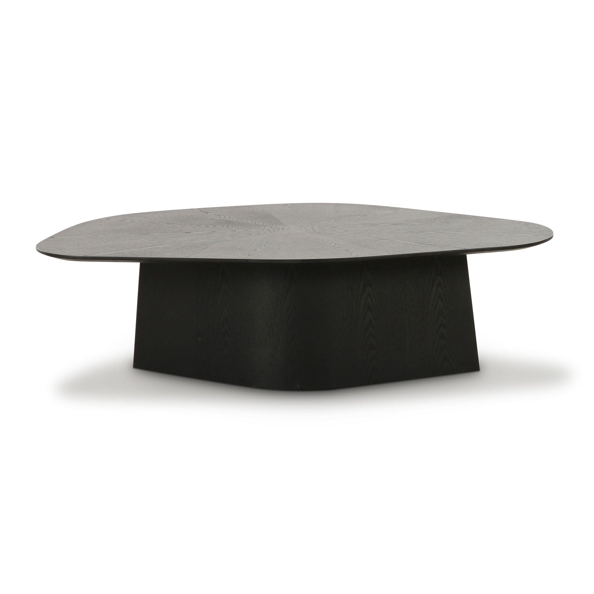 Roche - Geometric Coffee Table