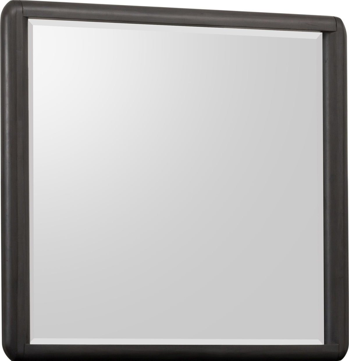 Xolani - Beveled Glass Wall Or Dresser Mirror - Jaguar