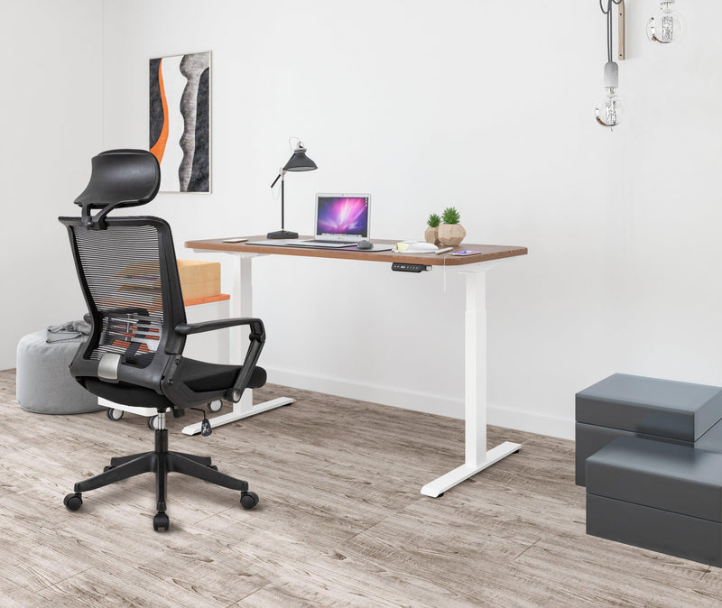 Electric Standing Desk  with Dual Motor Height Adjustable Sit Stand Desk Computer Workstation with USB Charge - White - Urban Living Furniture (Los Angeles, CA)