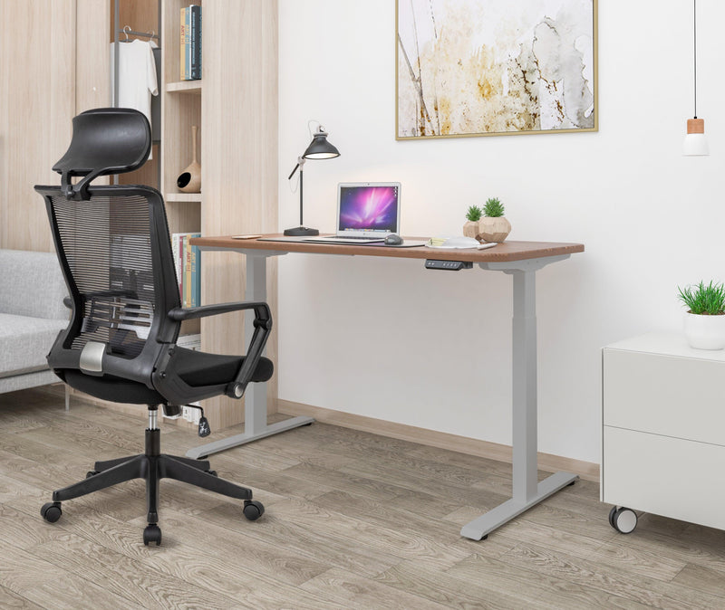 Electric Standing Desk  with Dual Motor Height Adjustable Sit Stand Desk Computer Workstation with USB Charge
"	
，Silver Grey - Urban Living Furniture (Los Angeles, CA)