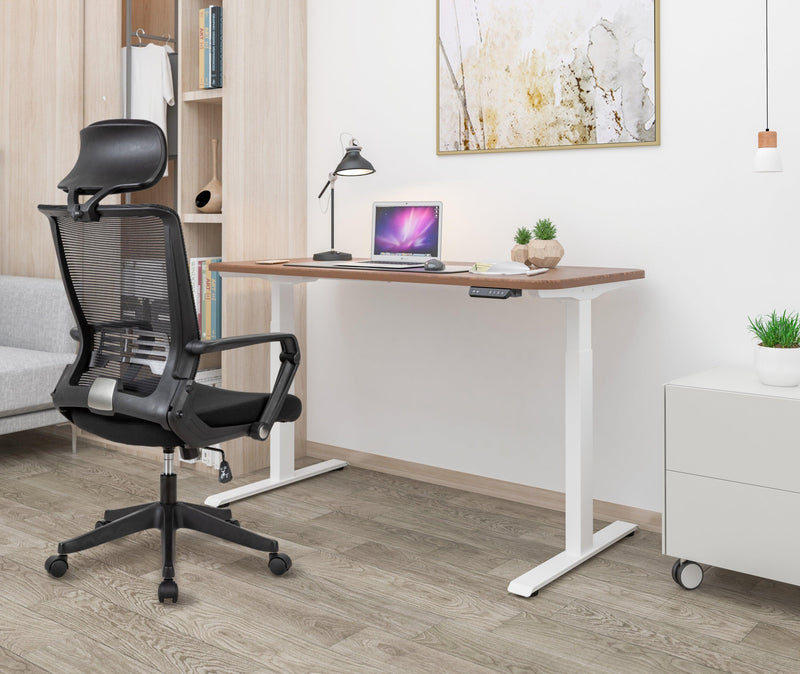 Electric Standing Desk  with Dual Motor Height Adjustable Sit Stand Desk Computer Workstation with USB Charge - White - Urban Living Furniture (Los Angeles, CA)