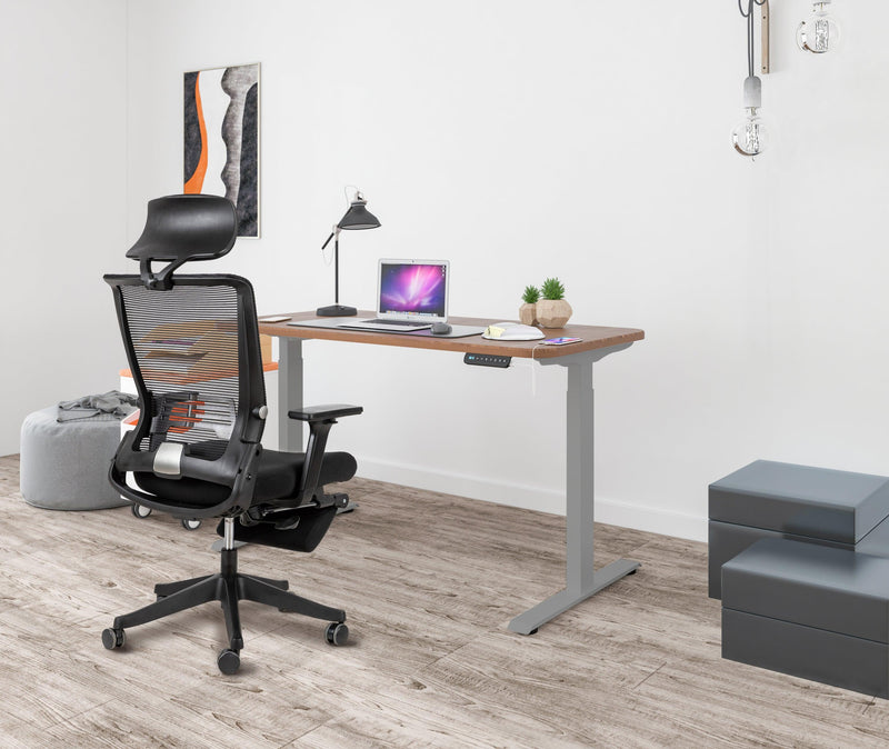 Electric Standing Desk  with Dual Motor Height Adjustable Sit Stand Desk Computer Workstation with USB Charge
"	
，Silver Grey - Urban Living Furniture (Los Angeles, CA)