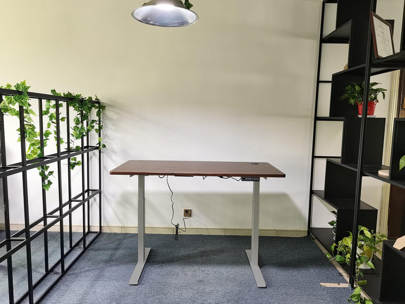 Electric Standing Desk  with Dual Motor Height Adjustable Sit Stand Desk Computer Workstation with USB Charge
"	
，Silver Grey - Urban Living Furniture (Los Angeles, CA)