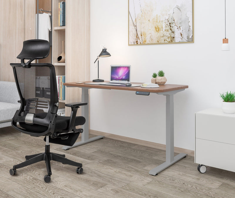 Electric Standing Desk  with Dual Motor Height Adjustable Sit Stand Desk Computer Workstation with USB Charge
"	
，Silver Grey - Urban Living Furniture (Los Angeles, CA)