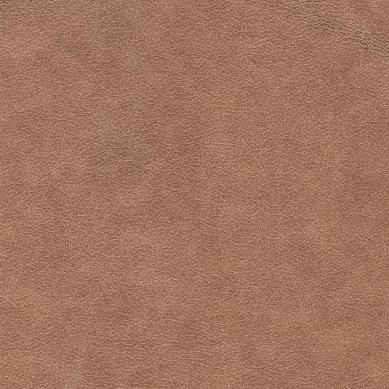 Modern Leather Sofa - Camel - Urban Living Furniture (Los Angeles, CA)