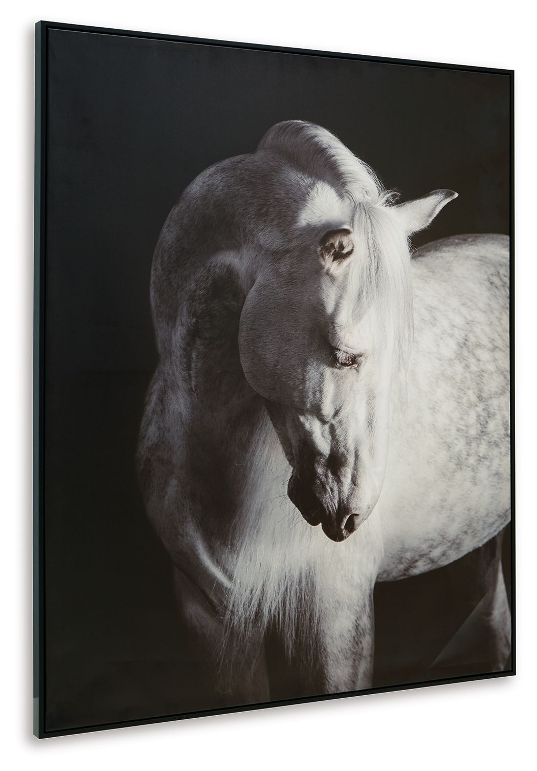 Archerwick - Black / White - Wall Art - Urban Living Furniture (Los Angeles, CA)