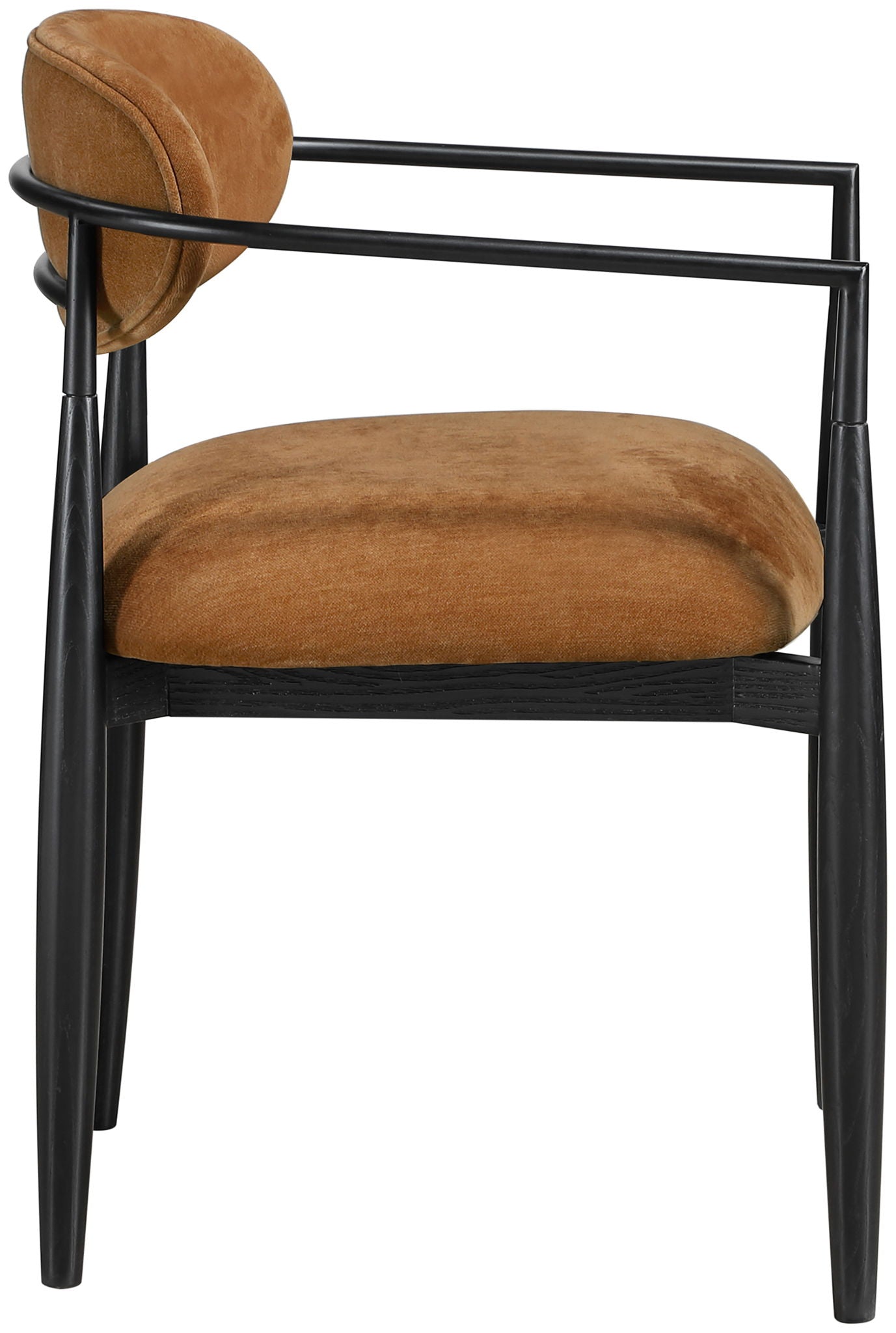 Riccio - Fabric Dining Arm Chair (Set of 2) - Black Frame - Urban Living Furniture (Los Angeles, CA)