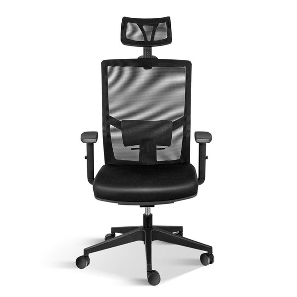 Office Ergonomic Mesh Computer Chair with Wheels & Arms & Lumbar Support, 02B, Black-Pro image